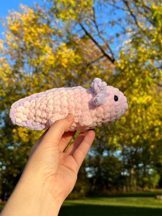 Axolotl